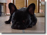 Fred Haj�man von Garden