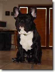 Fred Haj�man von Garden