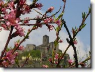 jarn� pozdrav ze zahr�dky