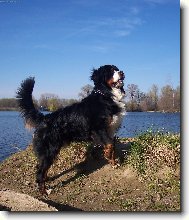 Bernie vyhl�� p�n��ka