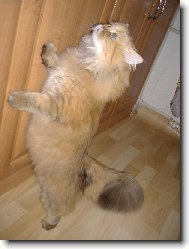 Dejte mi naj�st !!!