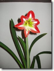 m� nejkr�sn�j��