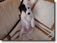 tak u� zapn�te tu televizi