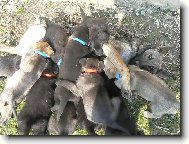 je n�s hodn�,ale m�ma n�s zvl�dla