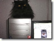 vyhraju n�jakou mlsku?