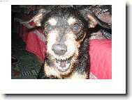 s �sm�vem de v�echno l�p