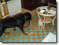 Jen poj�, j� se T� neboj�m!