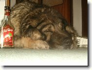 T�eskut� mrazy na Severn� Morav�