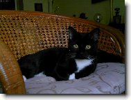 Kub��ek n�s pozoruje