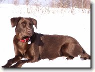 ..ona je prost� n�dhern�!