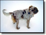 Tak honem, zase mus�m �ekat.....