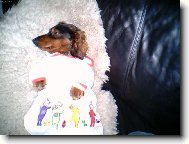 V no�n� ko�ilce