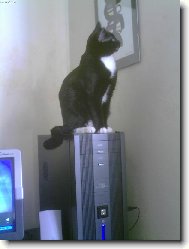 U� m� nebav�te!