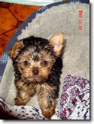 Vzpom�nka na Mat�ska