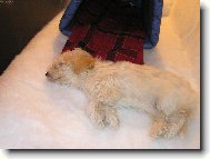 Zmo�en� �navou!