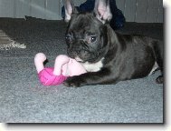 to je MOJE pras�tko!! tak ne�ahat!!!