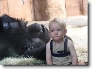 To nedopadne dob�e.