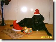  To jsem ale hezk� p��ni�ko co?? p�eju stastne a vesele