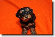 Kdo se m� na co ptal??:-)