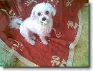 Ten jen ale dobr�!