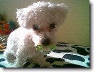 Prost� tomu dudl�ku ned�m pokoj!