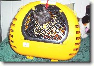 a stejn� ute�u!!!