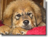 3 m�s��n� �t���tko