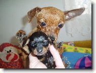 Dejte si na m� bacha!!