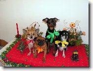 V�no�n� pohlednice