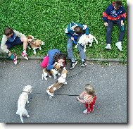 Pohled z t�et�ho patra