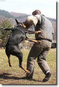 Dr��m a nepust�m!