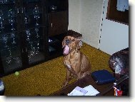 V�echny v�s sn�m!!!