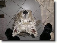 Co se d�je,vek� ��fe???