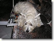 Ps� ministerstvo zakazuje �ten�!!!