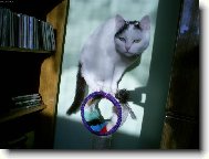 Pr�v� jsem vst�vala.