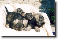 �t��ata kn�ra�e