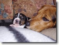 TO CHCE KL�DEK LIDI