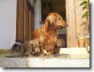 JARO-�AS ML���TEK