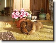 JARO-�AS ML���TEK