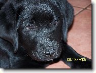 Eh... co se to d�je?