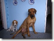 Sisinka s Nerou�em