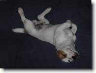 To se mi to kr�sn� sp�