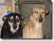 D�enka a Fil�pek