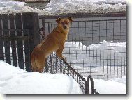 s nadhledem jde v�echno l�p