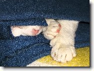 Neru�it, spink�m :-)