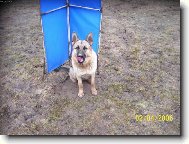 Besi se ,,�v�ka�kou,,