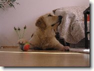 A te� ho chce� vr�tit ?