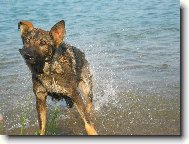 p��t� u� mi ale neunikne