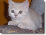 Pozor vylet� pt��ek