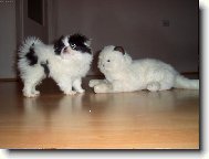 Kter� je opravdov�?